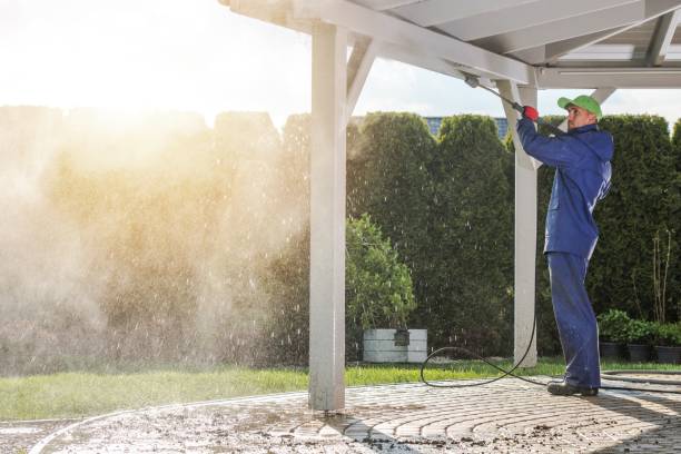 Boat and Dock Cleaning